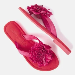 Vrouw Lazamani Slippers-Dames Slippers 33.517 Coral